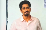 Siddharth movies, Siddharth updates, siddharth faces backlash on twitter, Saina