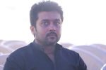 Suriya on PETA, Suriya legal notice, suriya s legal notice on peta, Jallikattu Suriya on PETA, Suriya legal notice, suriya s legal notice on peta, Jallikattu