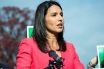 bashar al assad family, Gabbard, syrian president bashar al assad not enemy of u s says tulsi gabbard, Msnbc bashar al assad family, Gabbard, syrian president bashar al assad not enemy of u s says tulsi gabbard, Msnbc
