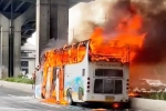 Thailand Bus Crash news, Thailand Bus Crash deaths, thailand bus crash almost 25 children feared dead, Gru