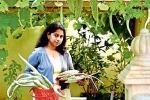 NRI, jyothy in farming, this nri in qatar keen on farming is going green, B m kutty