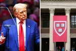 Donald Trump updates, Donald Trump latest updates, trump demands 1 billion as damages from harvard university, New york times Donald Trump updates, Donald Trump latest updates, trump demands 1 billion as damages from harvard university, New york times