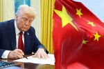 Trump for Chinese students new updates, Trump for Chinese students news, trump opens us doors to 6 lakh chinese students, Open