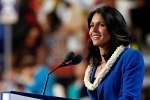president, United States presidency, tulsi gabbard likely to run for u s presidency in 2020 sources, Tim kaine