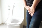 Urinary tract infection articles, Urinary tract infection study, urinary tract infection and the impacts, American chemical society