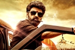 Veera Simha Reddy in Telangana, Veera Simha Reddy news, veera simha reddy sankranthi weekend collections, Veera simha reddy