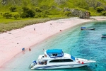 Indonesia, Pink Beach in Indonesia for tourists, which pink beach should you visit in indonesia, Planning Indonesia, Pink Beach in Indonesia for tourists, which pink beach should you visit in indonesia, Planning