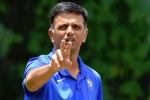 BCCI, Rahul Dravid coach, rahul dravid to lead team india as head coach, Anil kumble