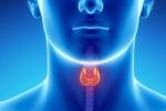 Throat Cancer Risk Factors, Throat Cancer types, how to prevent throat cancer, Throat cancer risk factors
