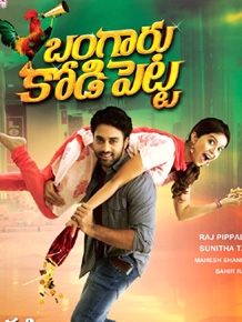 Bangaru Kodipetta Telugu Movie Review