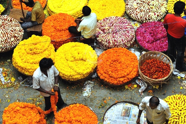 Increased number of allergy complaints during festival season},{