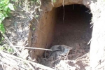 BSF, BSF, bsf found 20 meter tunnel from pakistan in sambha j k, Dharmedra pareek