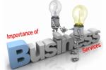 business, NRIs, business service agency for nris, Business service