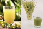 Amla Juice Vs Wheatgrass Juice health update, Amla Juice Vs Wheatgrass Juice comparision, amla juice vs wheatgrass juice for fatty liver, Rang de