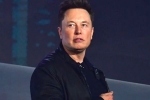 Elon Musk updates, Elon Musk, elon musk talks about cage fight again, Cage fight