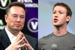 Elon Musk and Mark Zuckerberg latest, Elon Musk and Mark Zuckerberg, elon vs zuckerberg mma fight ahead, Cage fight