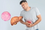 Fatty Liver latest, Fatty Liver symptoms, fatty liver can be reversed in just one month, Walking
