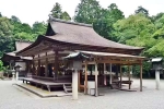 Japan Viral Mikami Shrine breaking updates, Japan Viral Mikami Shrine videos, why are travellers flocking to japan s viral mikami shrine, Internet Japan Viral Mikami Shrine breaking updates, Japan Viral Mikami Shrine videos, why are travellers flocking to japan s viral mikami shrine, Internet