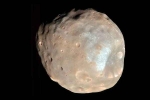 Martian Moon new breaking, Martian Moon, nasa s pic of martian moon phobos breaks the internet, Hobo