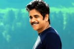 Nagarjuna and Rashmika Mandanna new movie, Nagarjuna and Rashmika Mandanna cameos, nagarjuna s surprise in dhanush s film, Dhanush