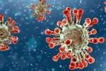 China, China Covid Row, new china coronavirus variant traced in india, Health minister