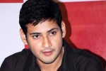 Mahesh Babu updates, Rakul Preet Singh, no clarity on mahesh s next title, Sambha
