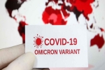Omicron USA research, Omicron, omicron is no worse than other variants says us scientists, Anthony fauci Omicron USA research, Omicron, omicron is no worse than other variants says us scientists, Anthony fauci