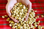 Pistachios rich in proteins, Pistachios in proteins, pistachios are a perfect protein snack, Healthy