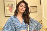 Trivikram, Trivikram, pooja hegde in pink remake, Taapsee