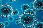 R.1 Coronavirus news, R.1 Coronavirus, r 1 variant of coronavirus traced in 35 countries, Coronavirus symptoms