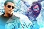 Salman Khan, Ae Dil Hai Mushkil, salman khan to promote shivaay, Big boss Salman Khan, Ae Dil Hai Mushkil, salman khan to promote shivaay, Big boss
