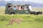 South African Safari Trip breaking, South African Safari Trip list, how to plan your south african safari trip, Walking
