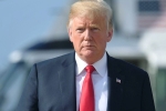 trump misleading claims, donald trump education, trump made 8 158 false claims in two years report, Midterm elections trump misleading claims, donald trump education, trump made 8 158 false claims in two years report, Midterm elections
