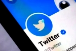 Twitter Blue Ticks latest updates, Twitter Blue Ticks subscription, twitter blue ticks are back, Blue tick