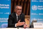 World Health Organization report, Coronavirus, who report on coronavirus leaves several logics unanswered, Coronavirus in china